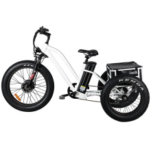 Mini Electric Trike with Rear Basket for Sale